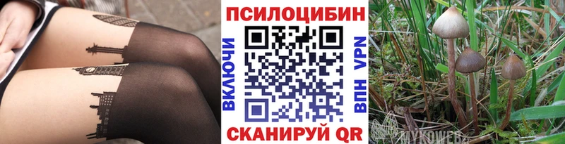 Галлюциногенные грибы мицелий  Купить где  Архангельск 